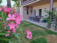 /album/photogallery/foto-patio-oleadro-jpg/